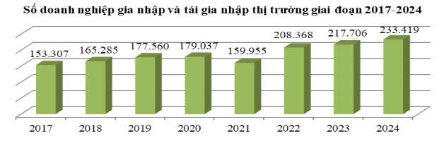 Nhìn lại tình hình doanh nghiệp gia nhập và tái gia nhập thị trường trong năm 2024- Ảnh 1.