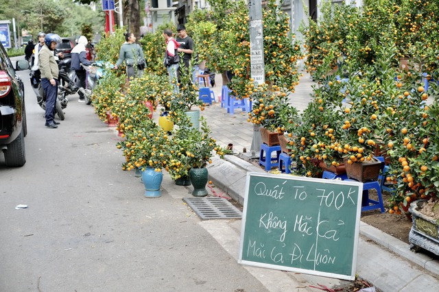 Tiểu thương "chạy hàng" trước thềm giao thừa, cây cảnh giá rẻ phủ khắp Hà Nội chiều 29 Tết- Ảnh 17.