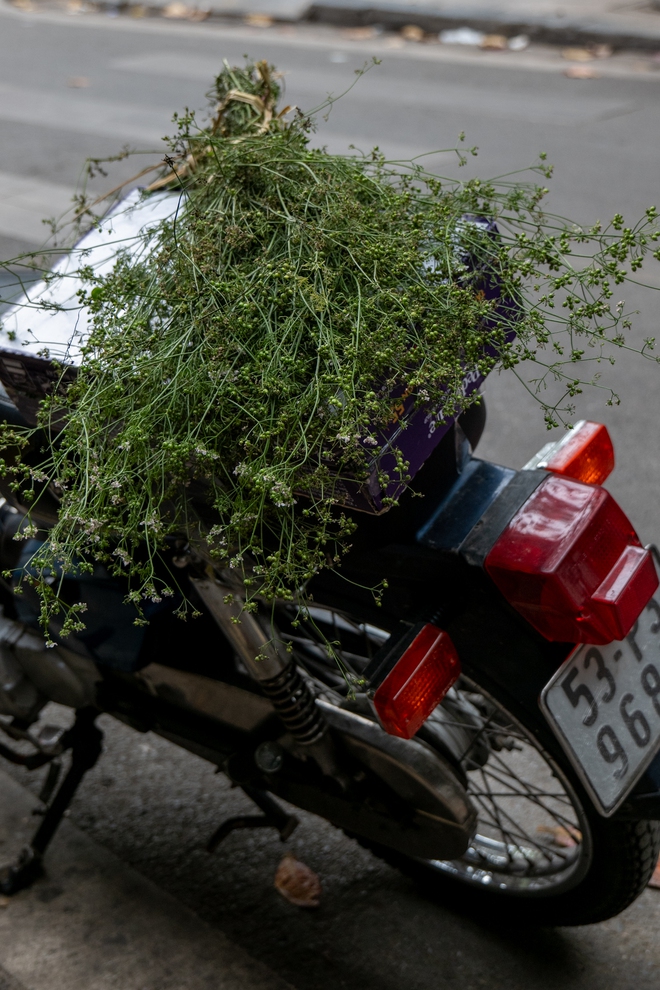 Có một Hà Nội yên bình như thế chiều cuối năm, "mùi" Tết len lỏi từng phố nhỏ- Ảnh 14.