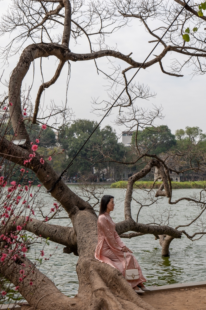 Có một Hà Nội yên bình như thế chiều cuối năm, "mùi" Tết len lỏi từng phố nhỏ- Ảnh 8.