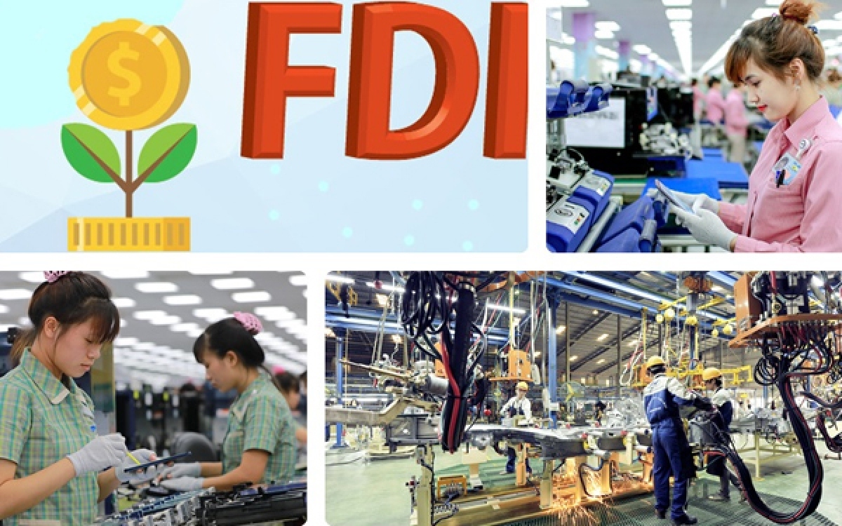 FDI 2024 và triển vọng 2025: Thu hút "đại bàng" về Việt Nam- Ảnh 1.