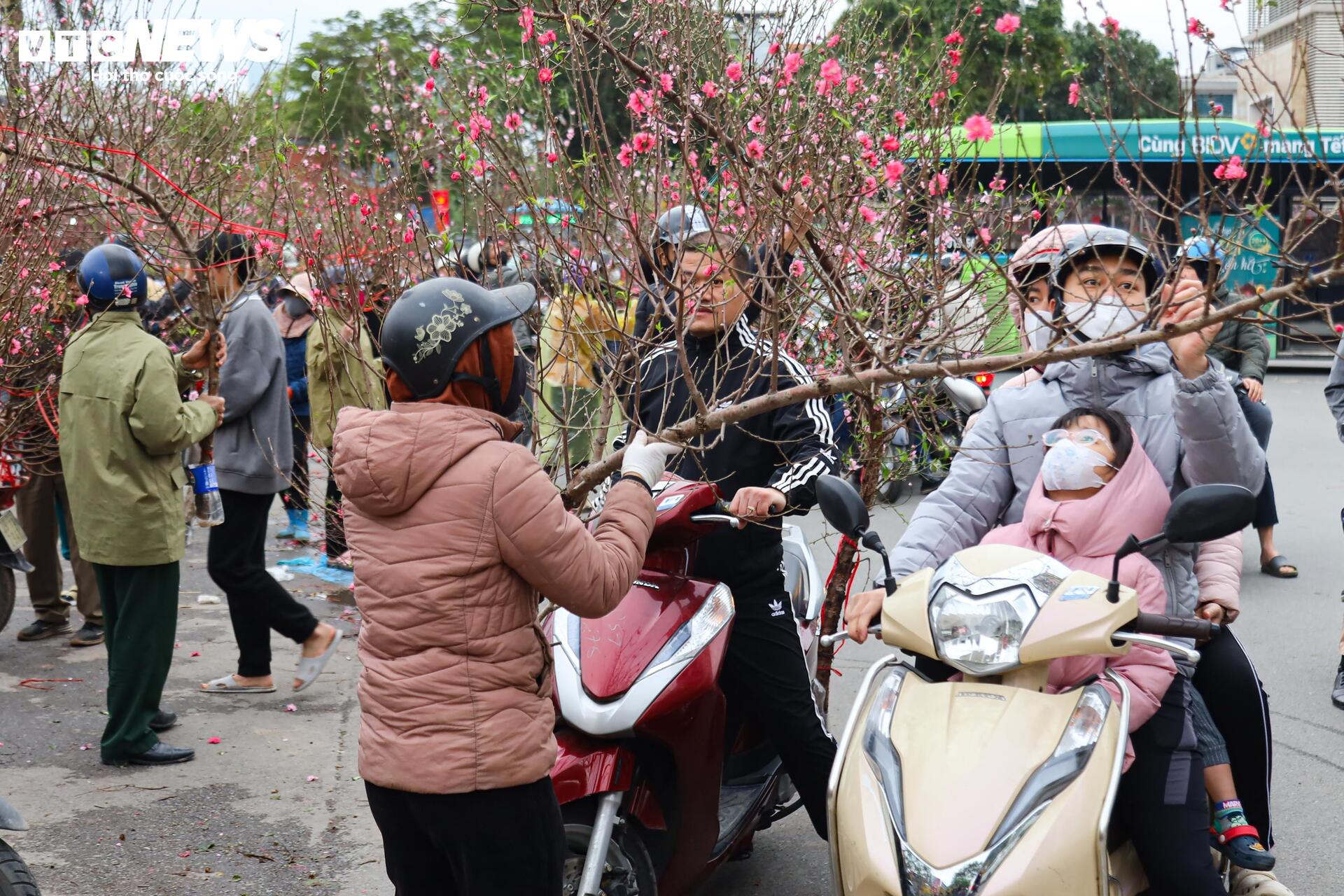 Hoa đào, mai vàng đại hạ giá, tiểu thương xả hàng về quê ăn Tết- Ảnh 14.