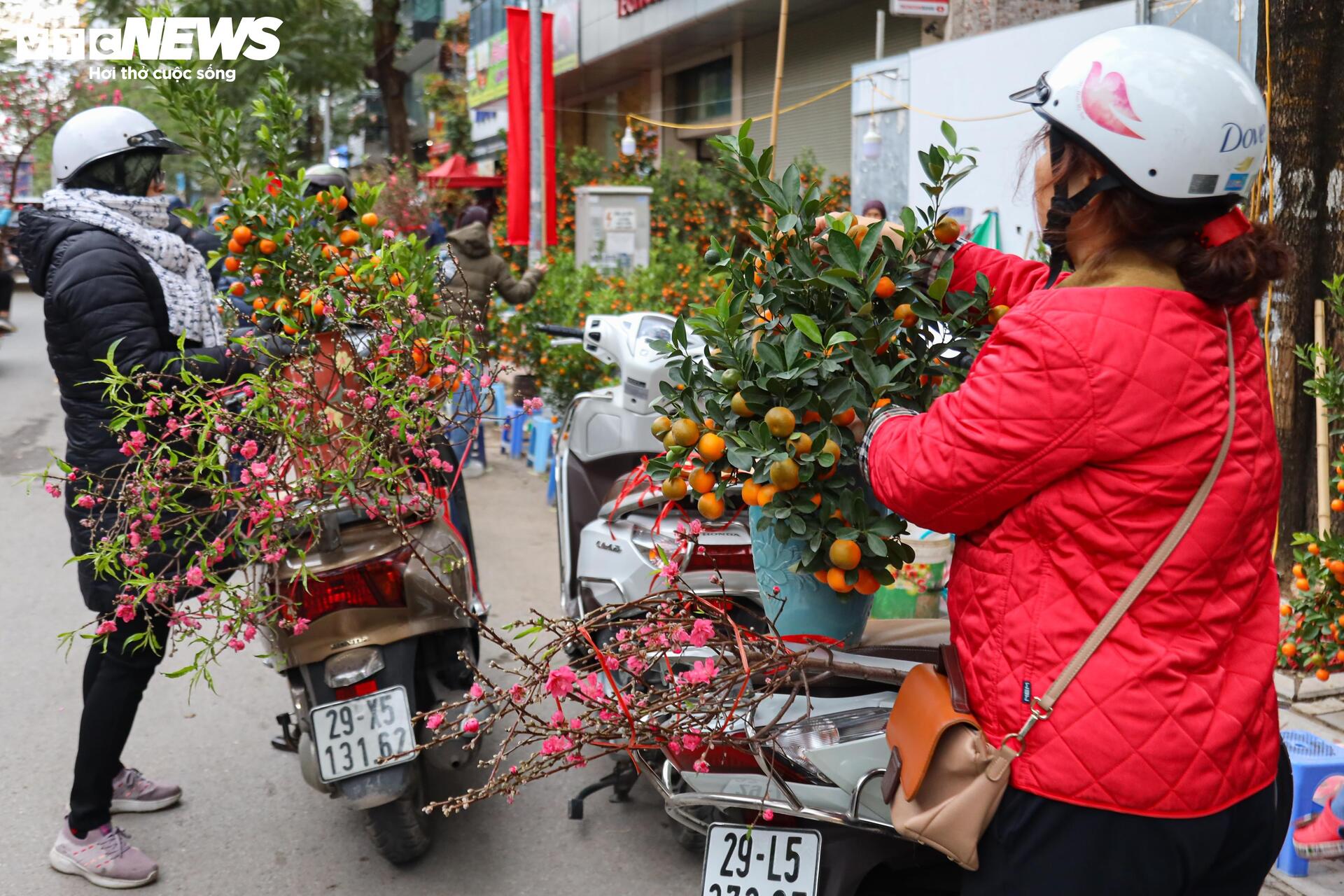 Hoa đào, mai vàng đại hạ giá, tiểu thương xả hàng về quê ăn Tết- Ảnh 13.