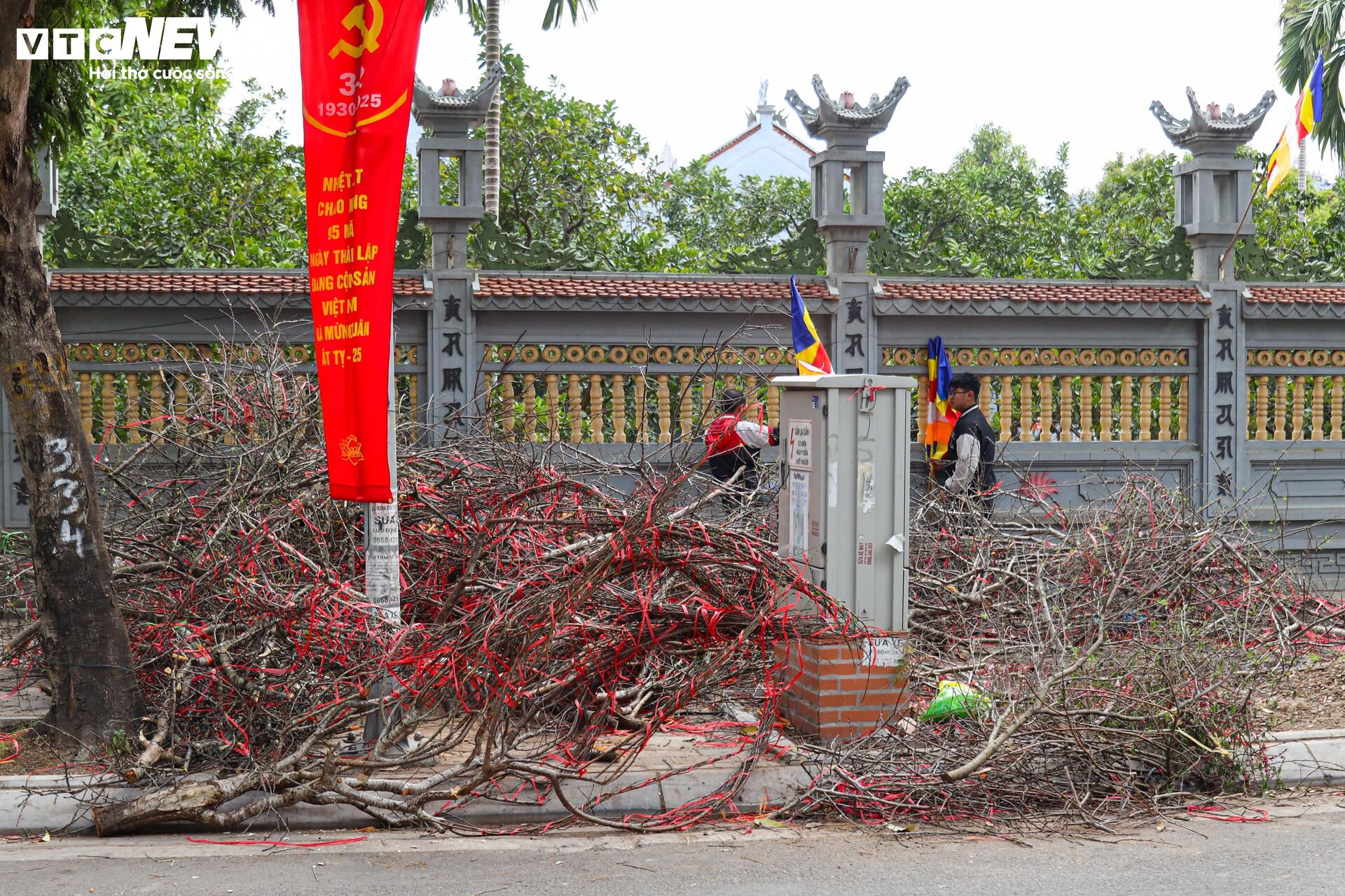 Hoa đào, mai vàng đại hạ giá, tiểu thương xả hàng về quê ăn Tết- Ảnh 17.