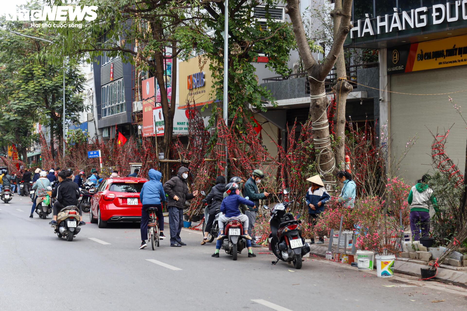 Hoa đào, mai vàng đại hạ giá, tiểu thương xả hàng về quê ăn Tết- Ảnh 1.