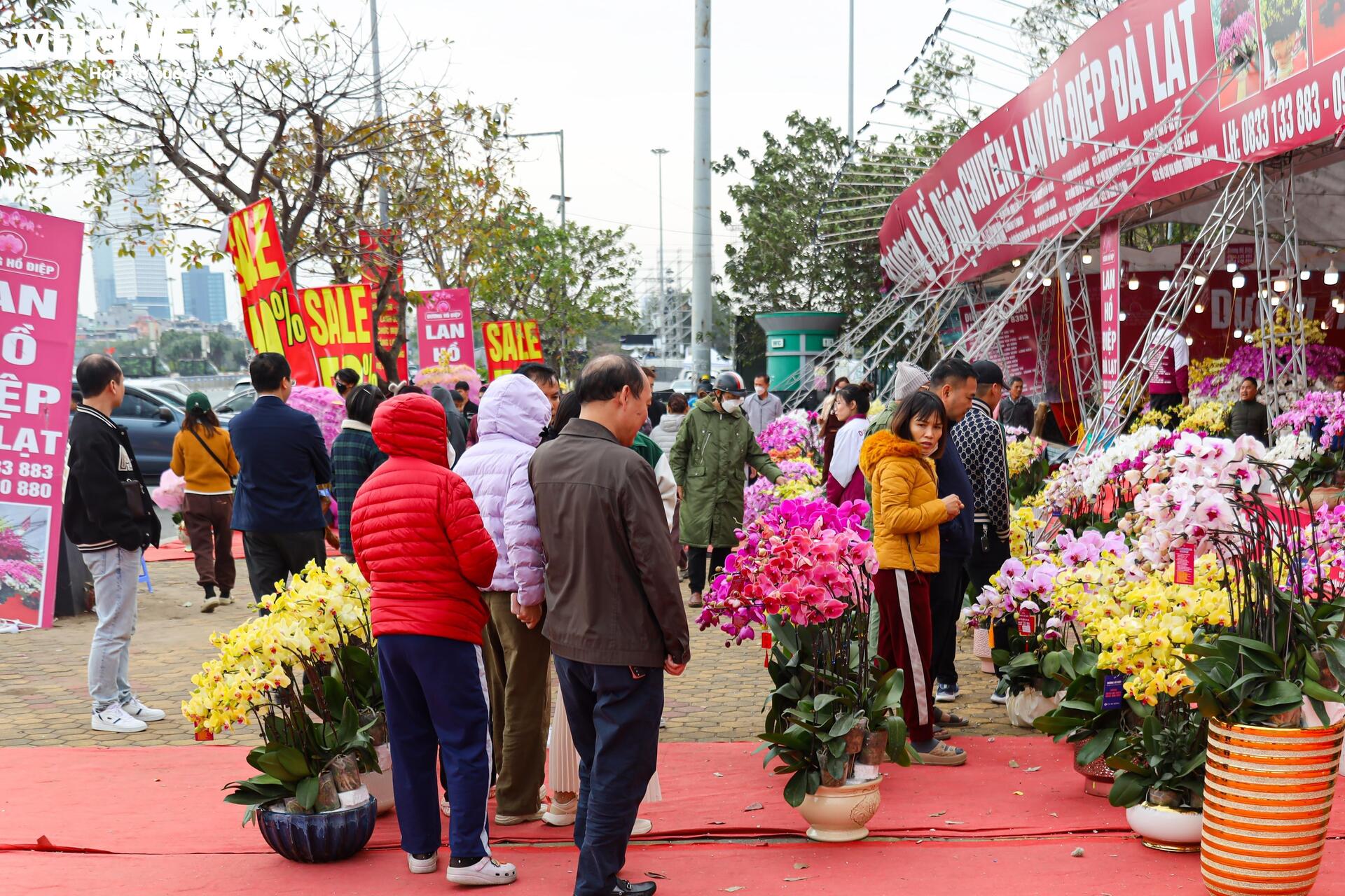 Hoa đào, mai vàng đại hạ giá, tiểu thương xả hàng về quê ăn Tết- Ảnh 16.