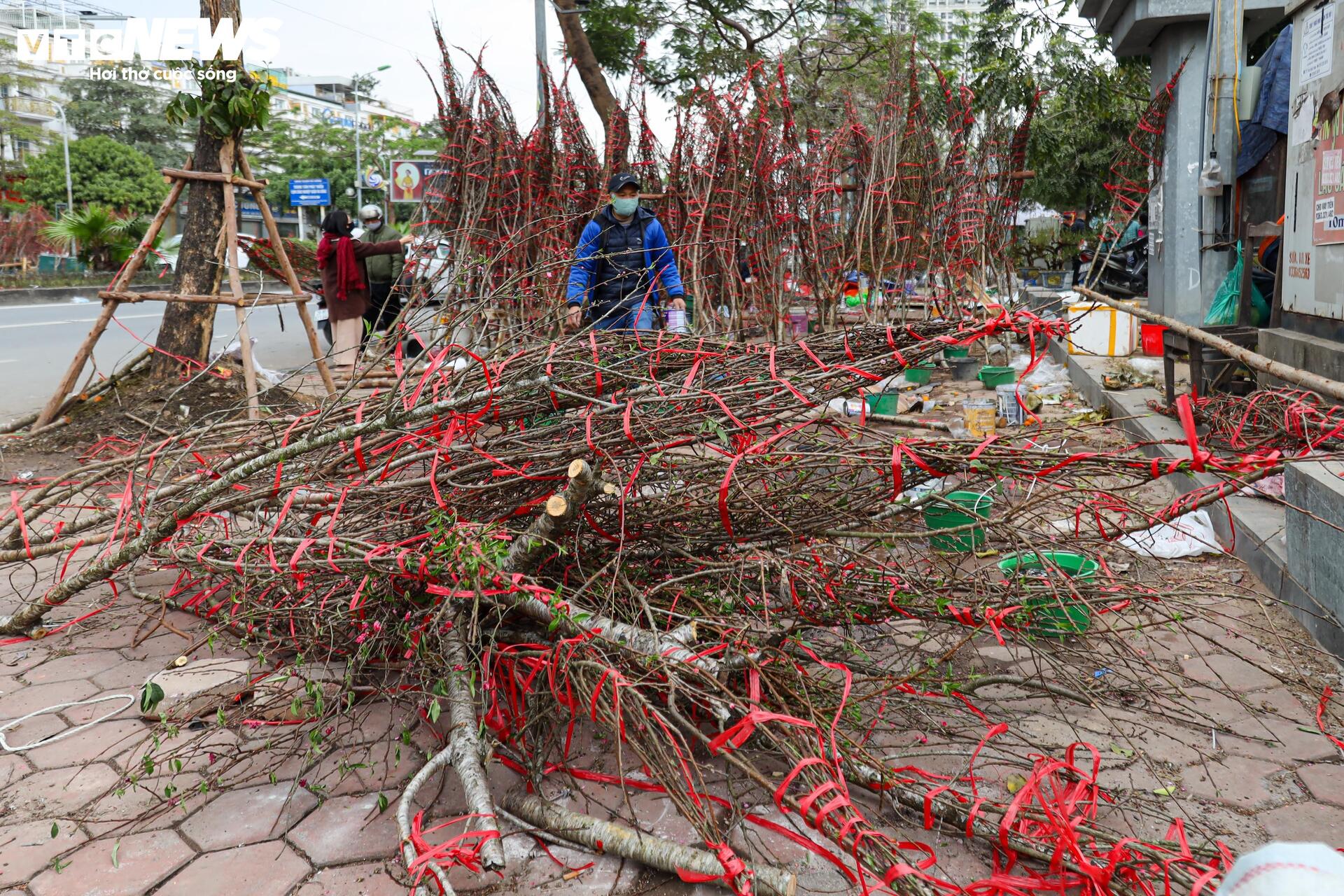 Hoa đào, mai vàng đại hạ giá, tiểu thương xả hàng về quê ăn Tết- Ảnh 18.