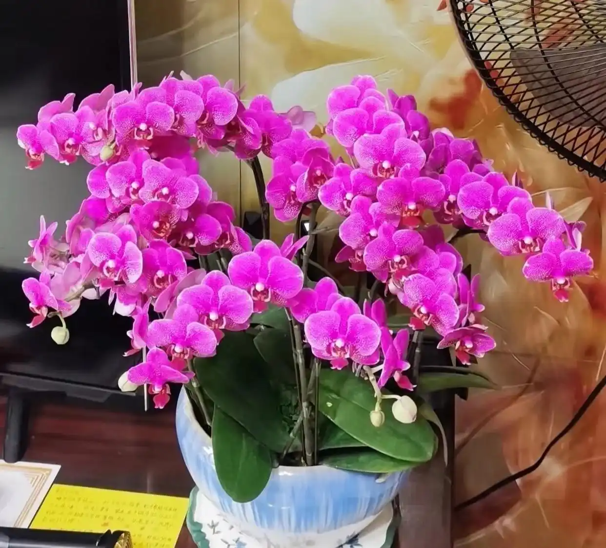 Người xưa có câu: “Ngày Tết trong nhà có 3 loại cây, gia chủ không phát tài cũng đắc lộc”- Ảnh 1.