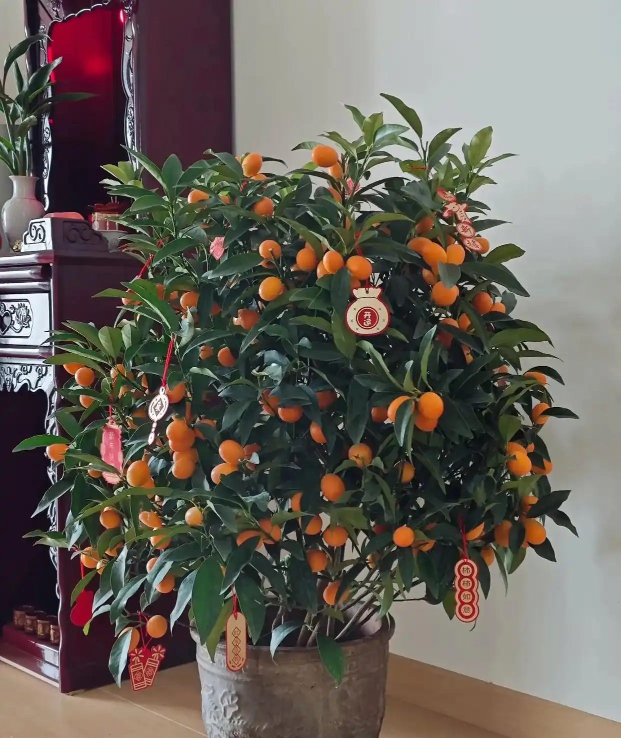 Người xưa có câu: “Ngày Tết trong nhà có 3 loại cây, gia chủ không phát tài cũng đắc lộc”- Ảnh 3.