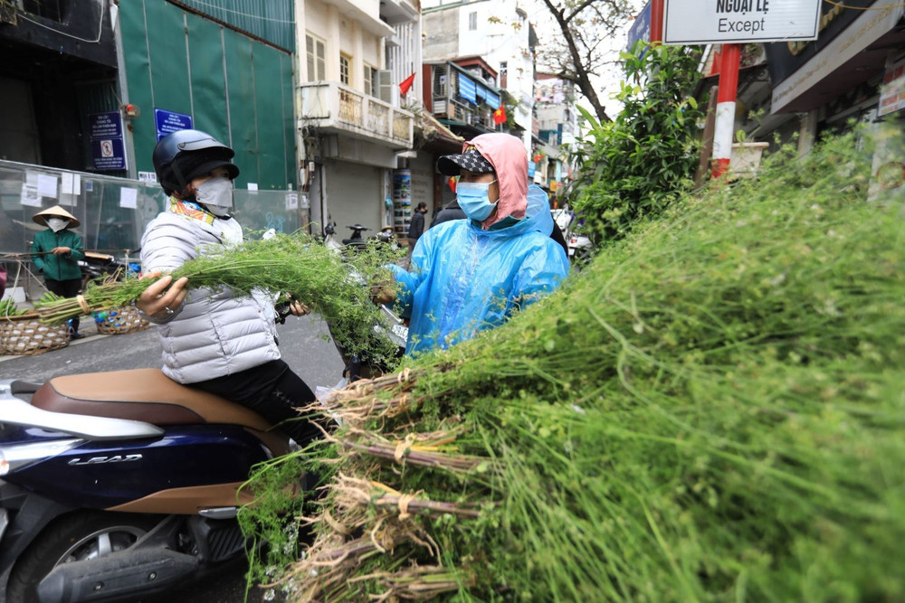 Loại lá không thể thiếu vào ngày cuối năm của người Việt: Đem tắm thì tốt sức khỏe, rửa mặt thì da hồng hào- Ảnh 1. Loại lá không thể thiếu vào ngày cuối năm của người Việt: Đem tắm thì tốt sức khỏe, rửa mặt thì da hồng hào- Ảnh 1.