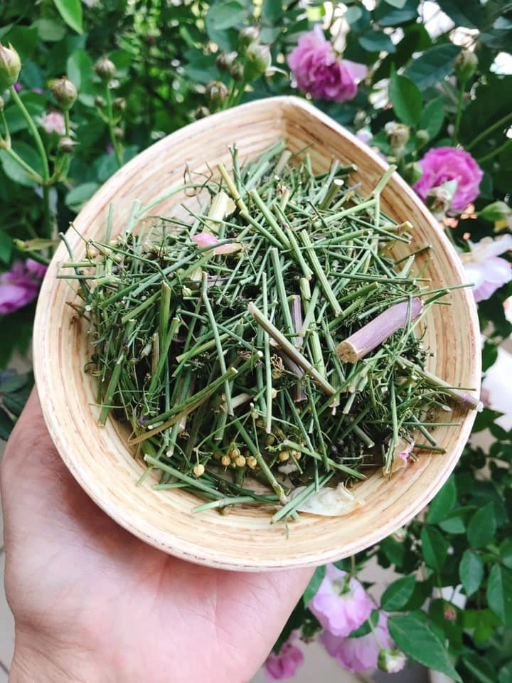 Loại lá không thể thiếu vào ngày cuối năm của người Việt: Đem tắm thì tốt sức khỏe, rửa mặt thì da hồng hào- Ảnh 2. Loại lá không thể thiếu vào ngày cuối năm của người Việt: Đem tắm thì tốt sức khỏe, rửa mặt thì da hồng hào- Ảnh 2.