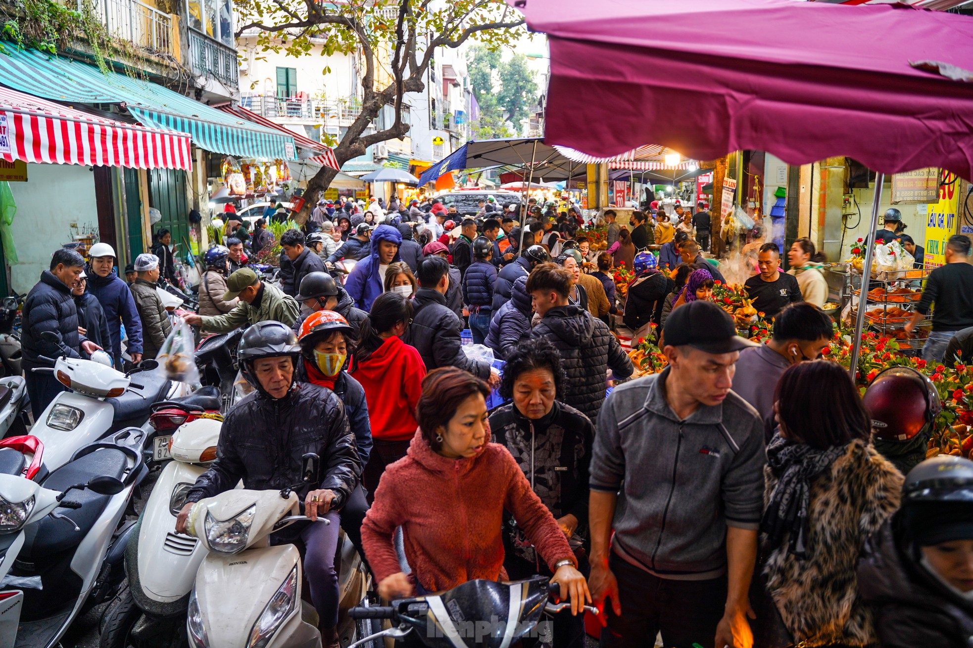 Người Hà Nội chi nửa triệu đồng mua gà ngậm hoa hồng sáng 29 Tết tại chợ 'nhà giàu'- Ảnh 1.