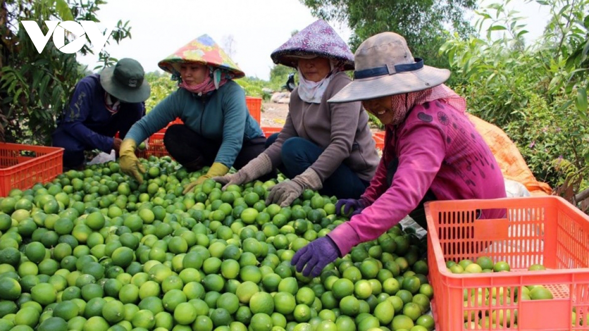 Xuất khẩu năm 2025 tăng 12%: Kết hợp tổng hòa những giải pháp đột phá- Ảnh 2.