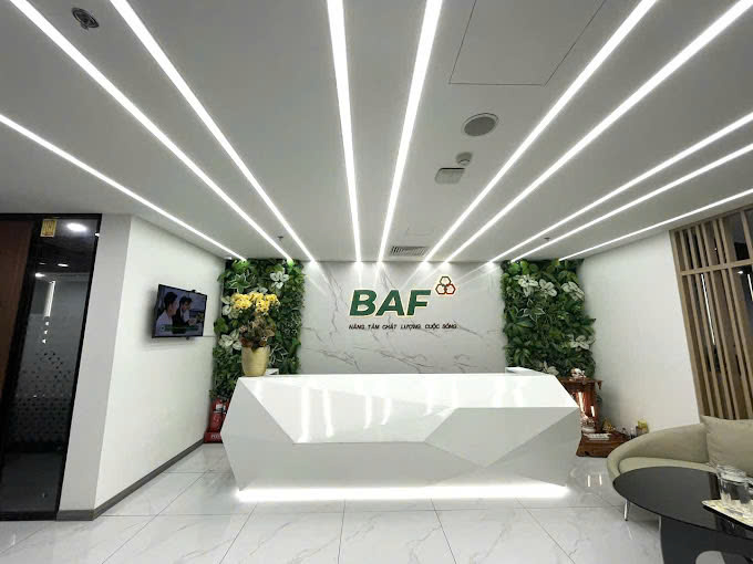 Baf Việt Nam nhận chuyển nhượng 70% vốn góp một doanh nghiệp tại Gia Lai- Ảnh 1.