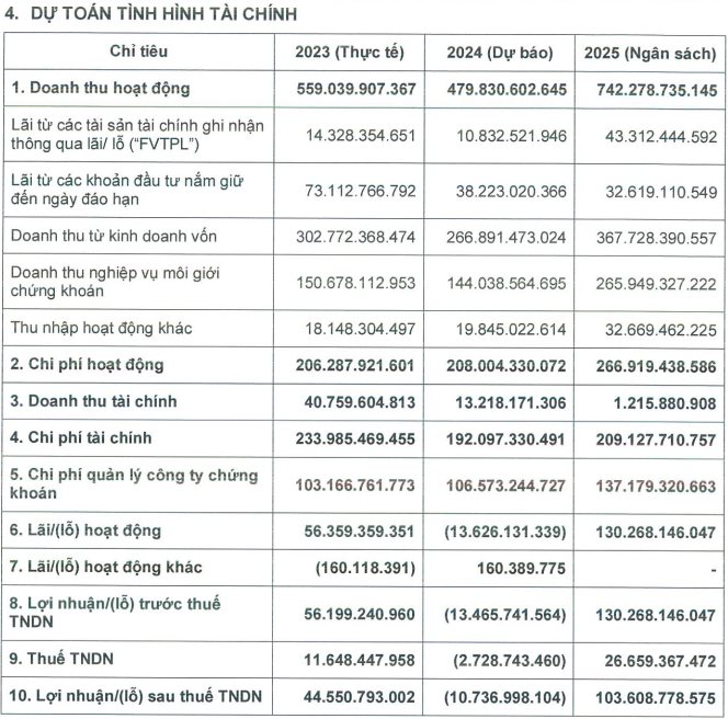 Hé lộ công ty chứng khoán đầu tiên báo lỗ trong năm 2024, con số mục tiêu lợi nhuận 2025 càng thêm bất ngờ- Ảnh 1.