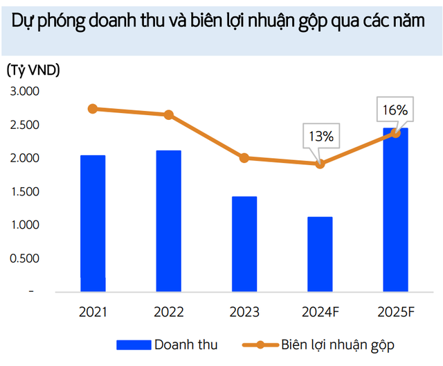 Một doanh nghiệp Việt biến hàng tỷ chai nhựa thành nguyên liệu làm đồ thể thao, bán khắp thế giới- Ảnh 3.