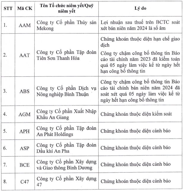 84 mã chứng khoán bị HoSE cắt margin quý 1/2025: HVN, HAG, QCG, ITA cùng hàng loạt cổ phiếu “hot” nằm trong danh sách- Ảnh 1.