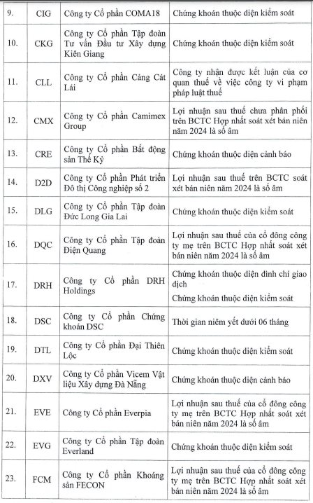 84 mã chứng khoán bị HoSE cắt margin quý 1/2025: HVN, HAG, QCG, ITA cùng hàng loạt cổ phiếu “hot” nằm trong danh sách- Ảnh 2.