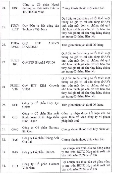 84 mã chứng khoán bị HoSE cắt margin quý 1/2025: HVN, HAG, QCG, ITA cùng hàng loạt cổ phiếu “hot” nằm trong danh sách- Ảnh 3.