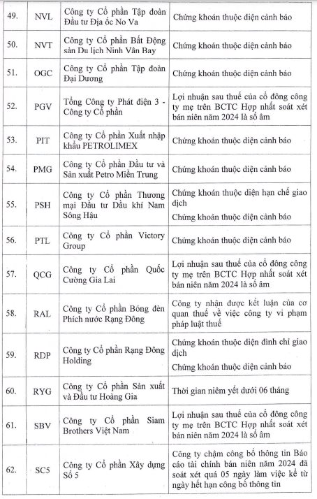 84 mã chứng khoán bị HoSE cắt margin quý 1/2025: HVN, HAG, QCG, ITA cùng hàng loạt cổ phiếu “hot” nằm trong danh sách- Ảnh 5.