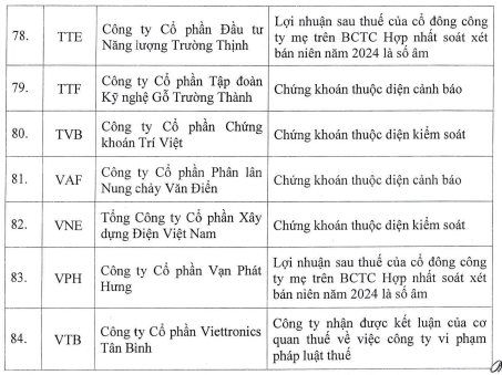 84 mã chứng khoán bị HoSE cắt margin quý 1/2025: HVN, HAG, QCG, ITA cùng hàng loạt cổ phiếu “hot” nằm trong danh sách- Ảnh 7.