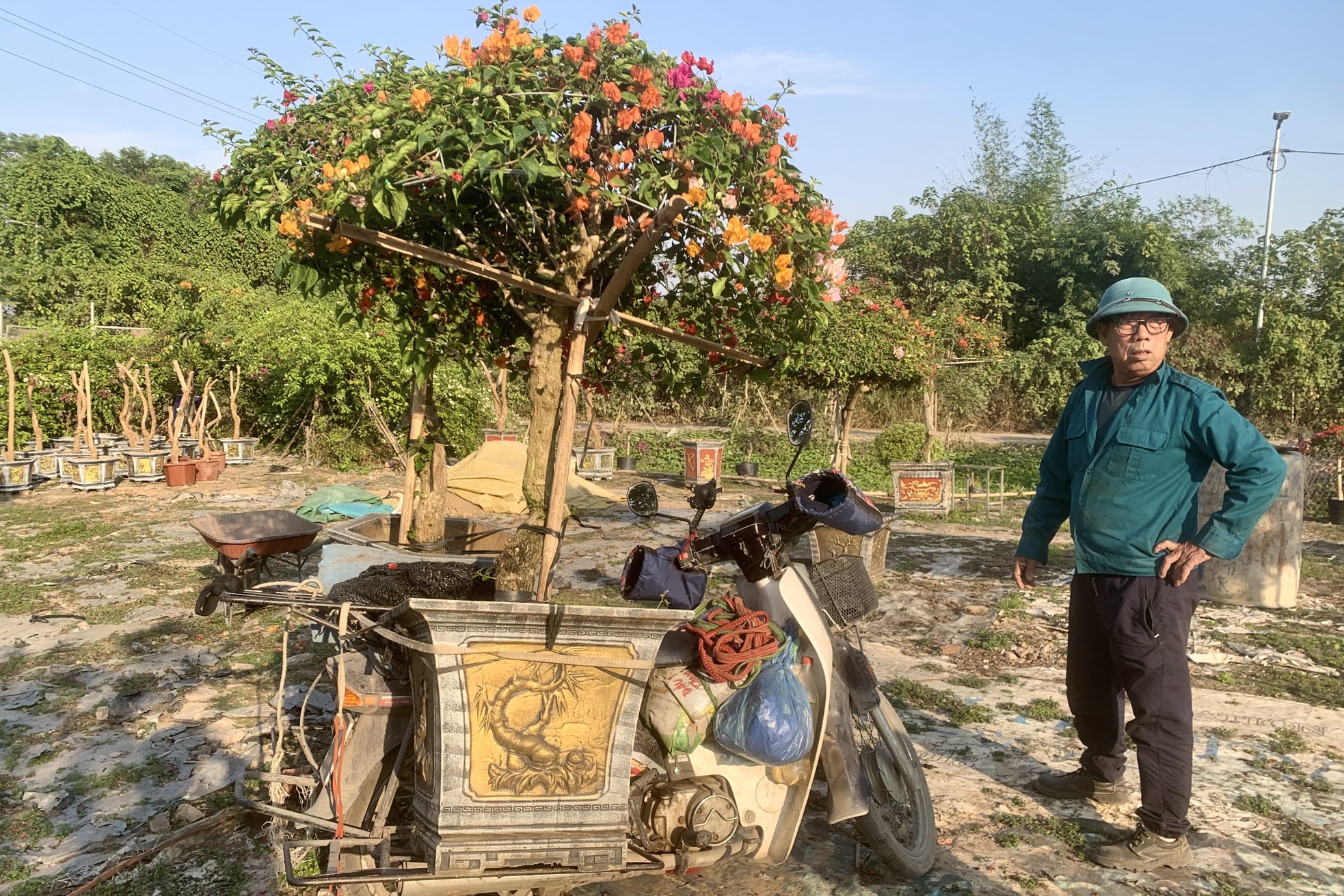 'Thủ phủ' hoa giấy miền Bắc rực rỡ khoe sắc, nhộn nhịp đón Tết- Ảnh 3.