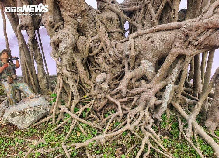 Chiêm ngưỡng ‘siêu cây’ của nghệ nhân Hà Nội, trả bao nhiêu tiền cũng không bán- Ảnh 6.