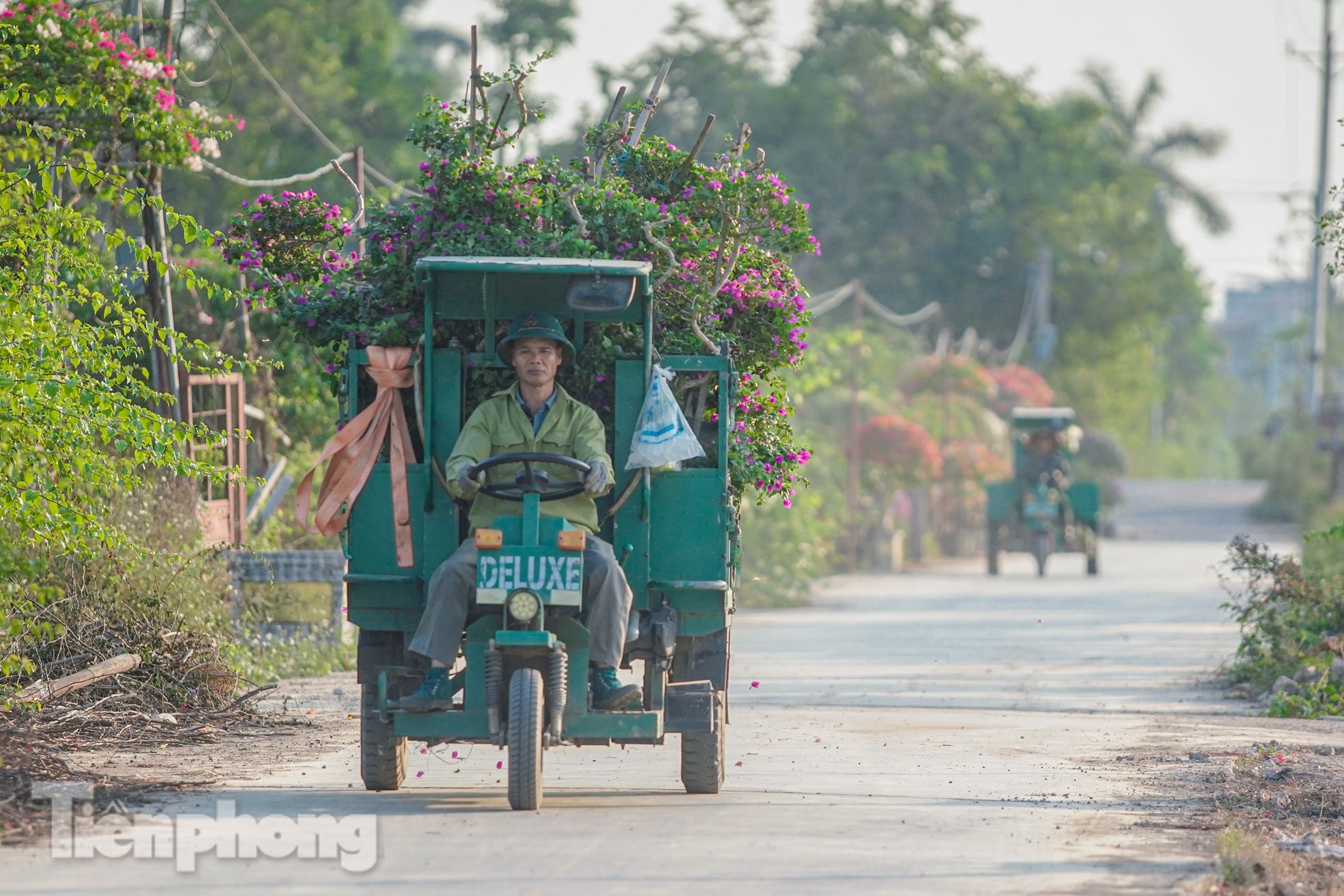 'Thủ phủ' hoa giấy miền Bắc rực rỡ khoe sắc, nhộn nhịp đón Tết- Ảnh 15.