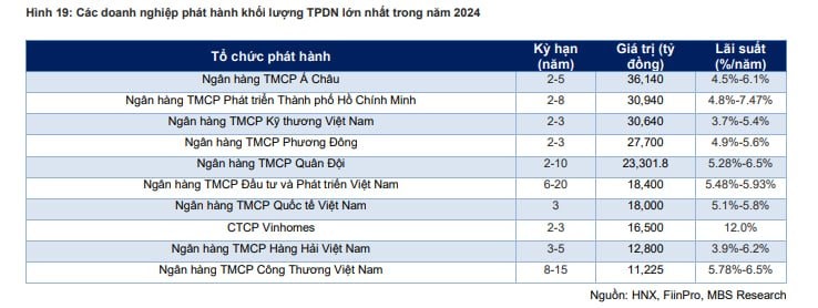 ACB phát hành nhiều trái phiếu nhất thị trường trong năm 2024- Ảnh 2.