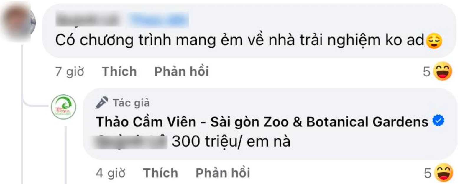 Hồi sinh Thảo Cầm Viên Sài Gòn 160 năm tuổi bằng MXH: Đột phá từ Drama tình ái đôi voọc đến capybara Phú - Quý - Cát - Tường- Ảnh 1.