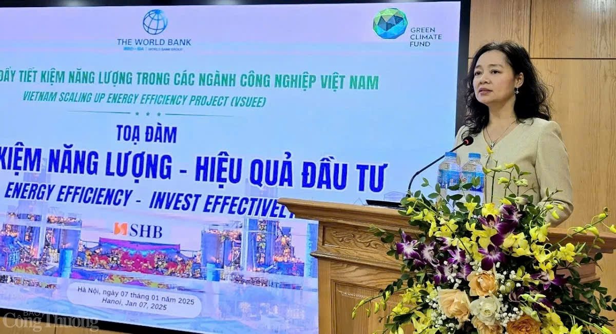 Tiết kiệm năng lượng - chiến lược phát triển bền vững các ngành công nghiệp Việt Nam- Ảnh 1.