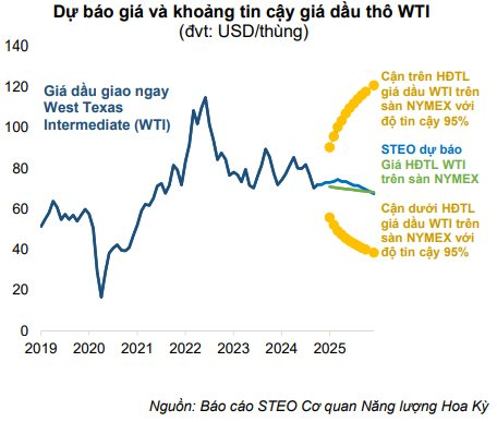 Sở hữu công cụ chuyên đào “kho báu” ngoài khơi, doanh nghiệp Việt làm không hết việc, "siêu dự án" 12 tỷ USD mở ra triển vọng dài hạn- Ảnh 1.