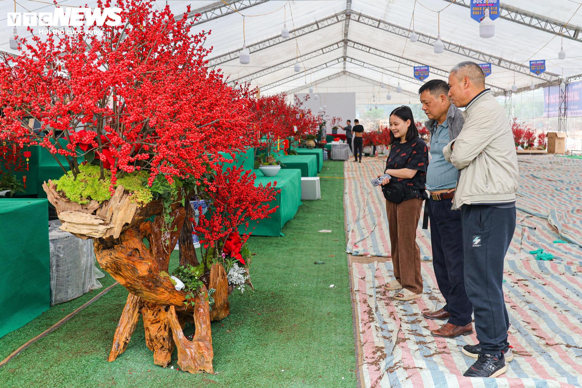 Hoa nhập độc lạ giá trăm triệu đồng, thú chơi Tết mới của nhà giàu Hà Nội- Ảnh 21.