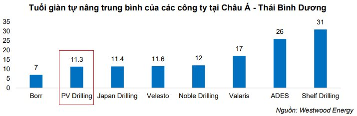 Sở hữu công cụ chuyên đào “kho báu” ngoài khơi, doanh nghiệp Việt làm không hết việc, "siêu dự án" 12 tỷ USD mở ra triển vọng dài hạn- Ảnh 3.