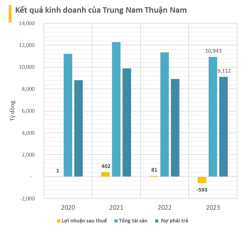 Chủ đầu tư DA điện mặt trời  Trung Nam Thuận Nam khiến nhiều cựu lãnh đạo Bộ Công Thương bị đề nghị truy tố: Lỗ gần 600 tỷ trong năm 2023- Ảnh 2.