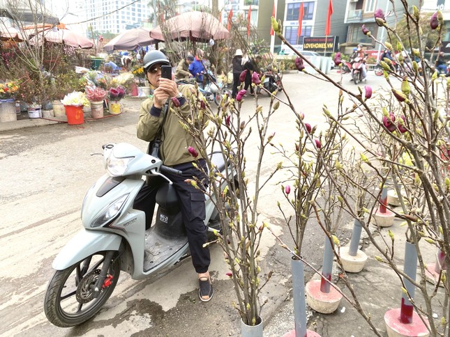 Xuất hiện loài hoa 'cạnh tranh' với đào, quất Tết năm nay- Ảnh 6.