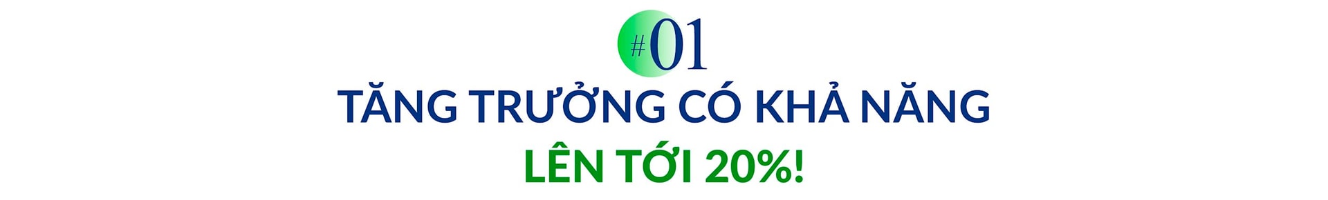 TS Trần Đình Thiên phân tích lý do tăng trưởng liên tục 2 con số trong ‘Kỷ nguyên vươn mình’ là khả thi và hiến kế chống tham nhũng với nguyên lý ‘đuổi chuột không làm vỡ bình’- Ảnh 1.