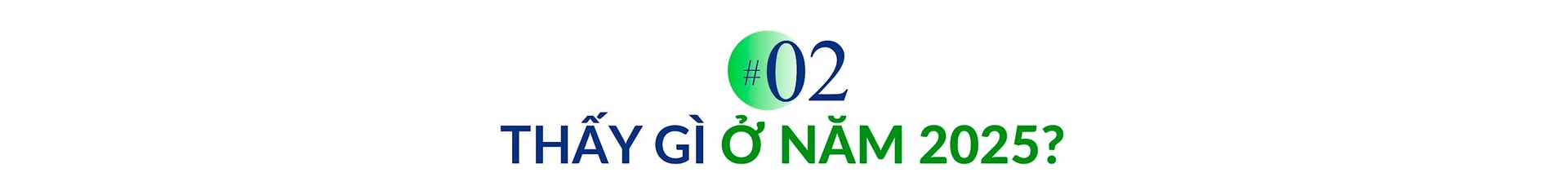 TS Trần Đình Thiên phân tích lý do tăng trưởng liên tục 2 con số trong ‘Kỷ nguyên vươn mình’ là khả thi và hiến kế chống tham nhũng với nguyên lý ‘đuổi chuột không làm vỡ bình’- Ảnh 4.