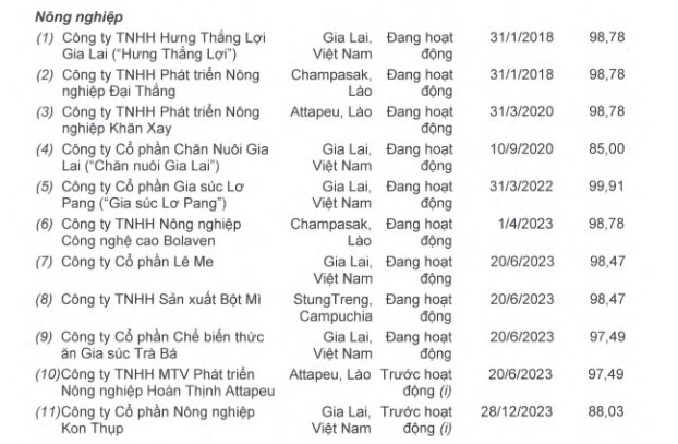 HAGL giải thể công ty con có vốn nghìn tỷ sau hơn một năm thành lập- Ảnh 1.