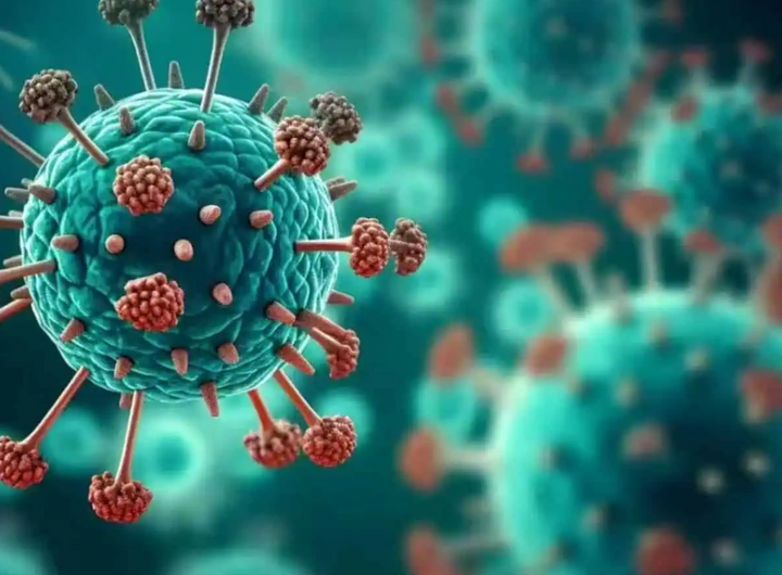Sở Y tế TP.HCM: HMPV không phải là virus mới, từng được phát hiện ở Việt Nam- Ảnh 1. Sở Y tế TP.HCM: HMPV không phải là virus mới, từng được phát hiện ở Việt Nam- Ảnh 1.