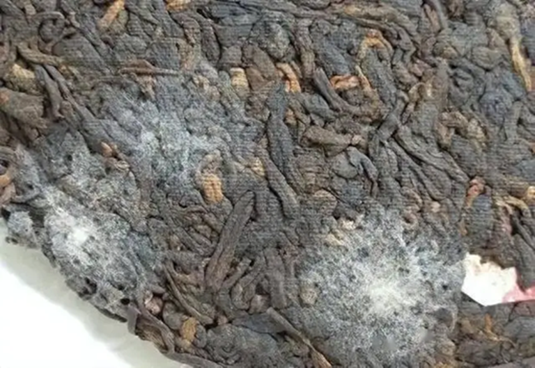 4 loại trà “phá thận" thầm lặng, khỏe mạnh đến đâu cũng khó chịu nổi- Ảnh 3.