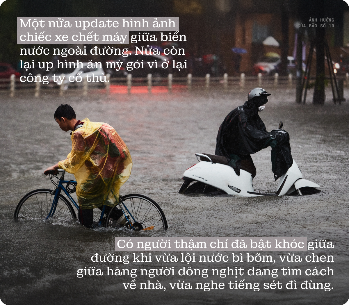 Khi ta còn được về nhà- Ảnh 1. Khi ta còn được về nhà- Ảnh 1.