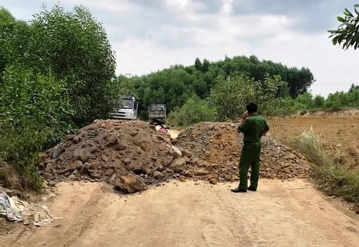 Quảng Ngãi bắt khẩn cấp giám đốc công ty TNHH Lý Trần - Ảnh 3.