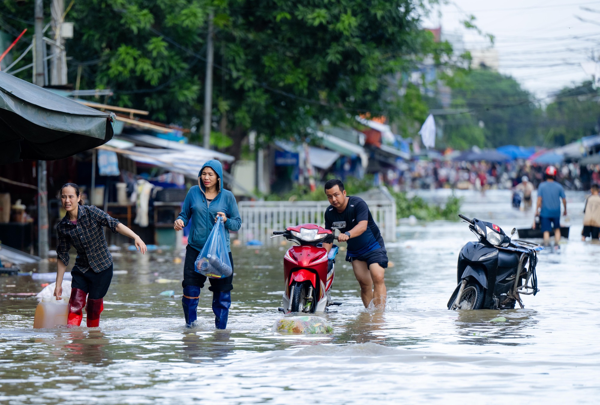 Tiểu thương chợ lớn nhất Nghệ An nhặt từng cọng rau trong dòng nước lũ, giữ lấy bữa cơm ngày mai- Ảnh 20.