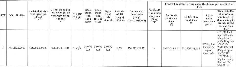 Novaland chậm thanh toán gần 308 tỷ đồng tiền gốc cho 2 lô trái phiếu- Ảnh 1.