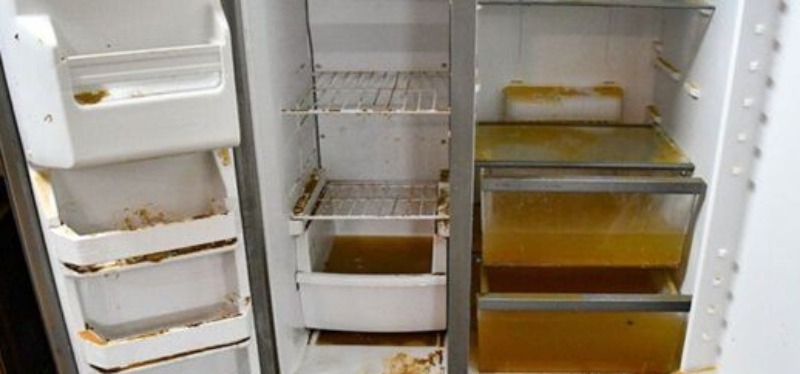 Ngay khi nước rút: 12 bước dọn dẹp và khử trùng cho nhà ngập để tránh mùi ẩm mốc, vi khuẩn và bệnh tật- Ảnh 3. Ngay khi nước rút: 12 bước dọn dẹp và khử trùng cho nhà ngập để tránh mùi ẩm mốc, vi khuẩn và bệnh tật- Ảnh 3.