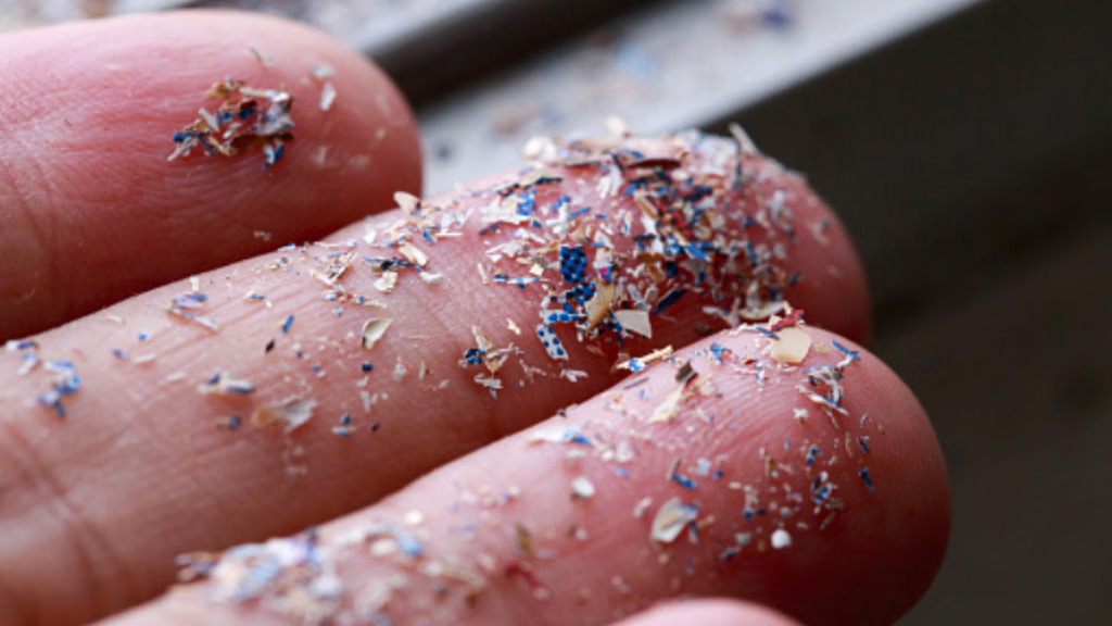 Top 2 gia vị chứa nhiều vi nhựa nhất tr…