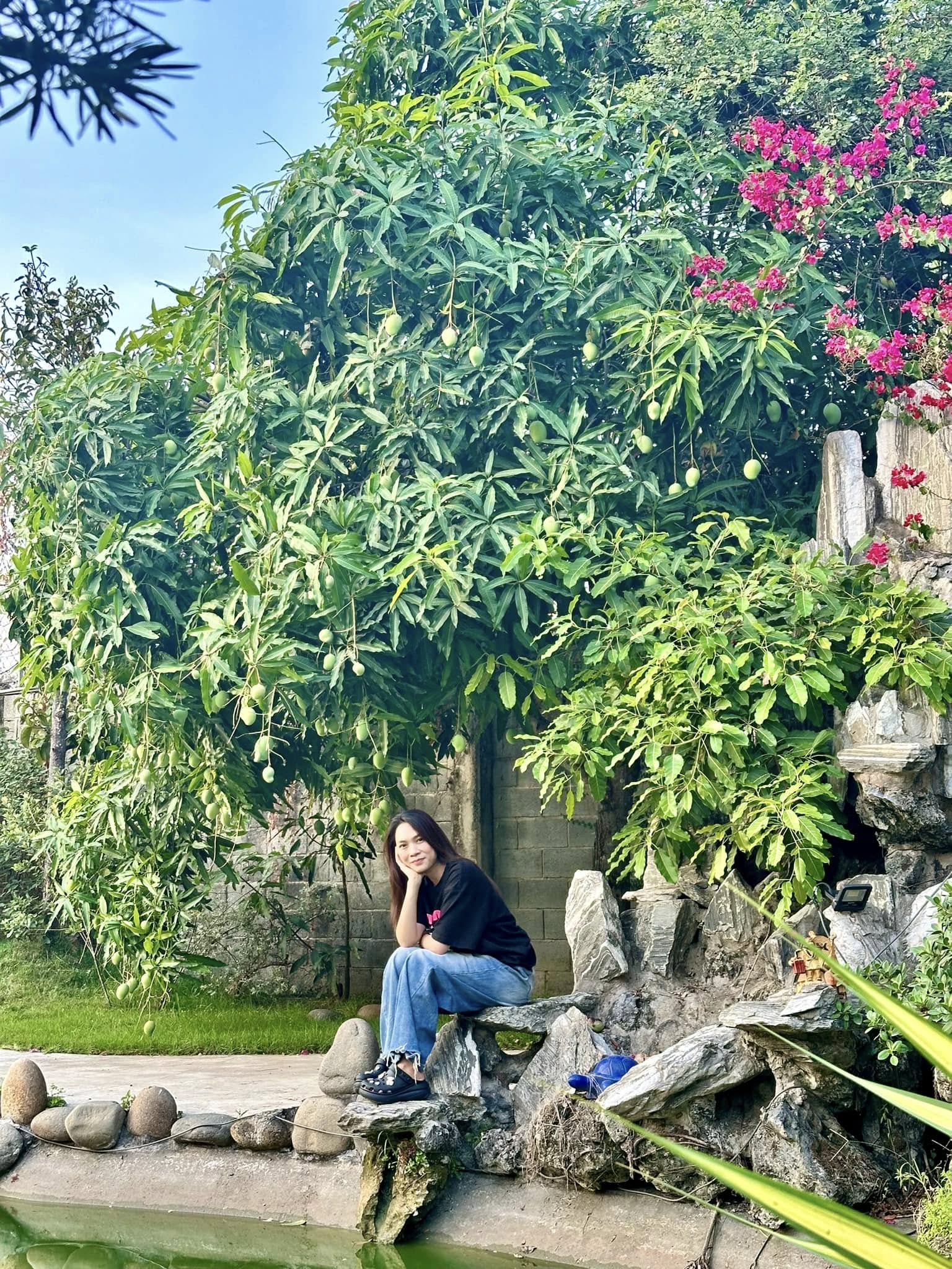 Thấy gì ở 2 tài sản trăm tỷ của Mỹ Tâm?- Ảnh 5. Thấy gì ở 2 tài sản trăm tỷ của Mỹ Tâm?- Ảnh 5.
