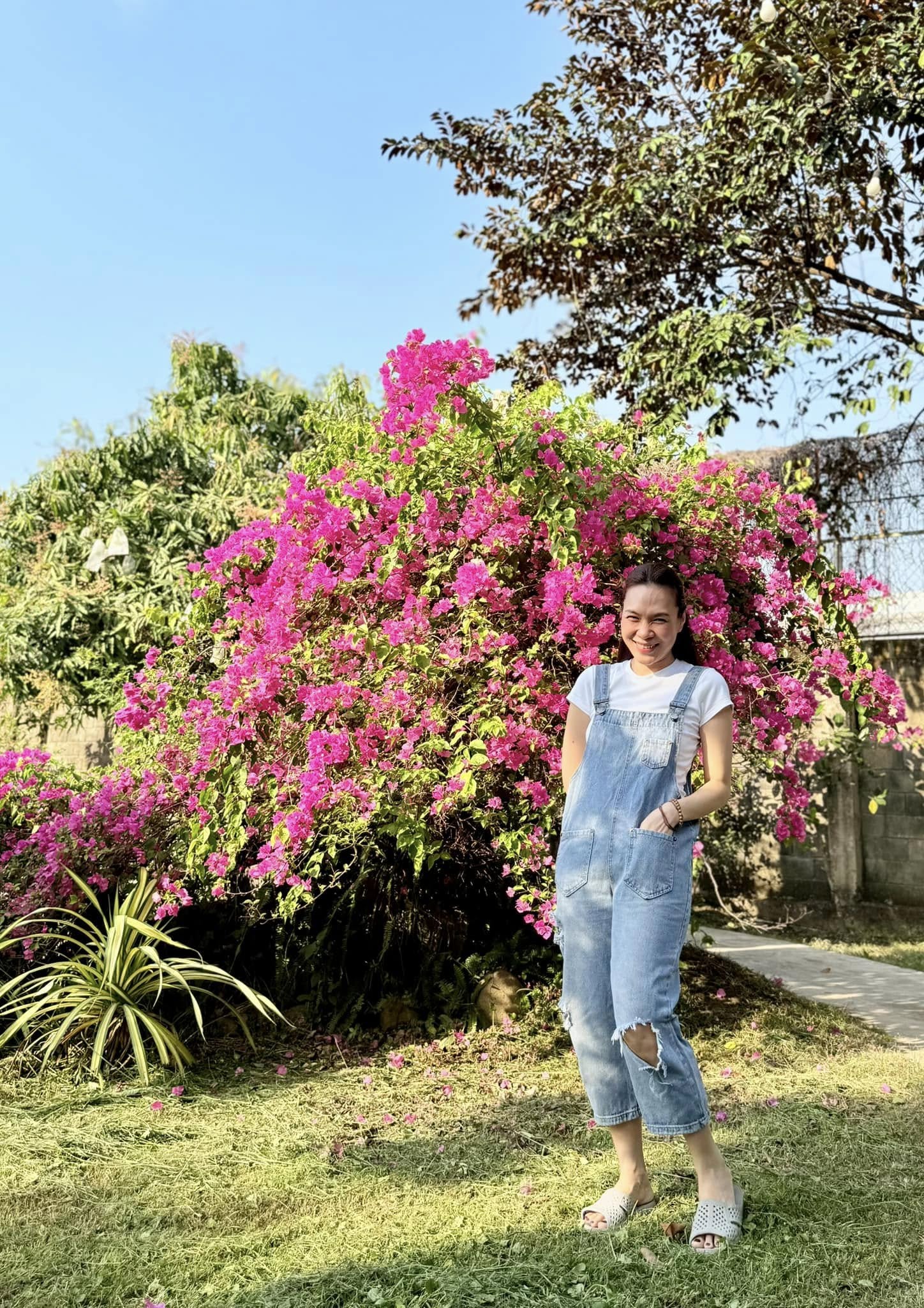Thấy gì ở 2 tài sản trăm tỷ của Mỹ Tâm?- Ảnh 7. Thấy gì ở 2 tài sản trăm tỷ của Mỹ Tâm?- Ảnh 7.