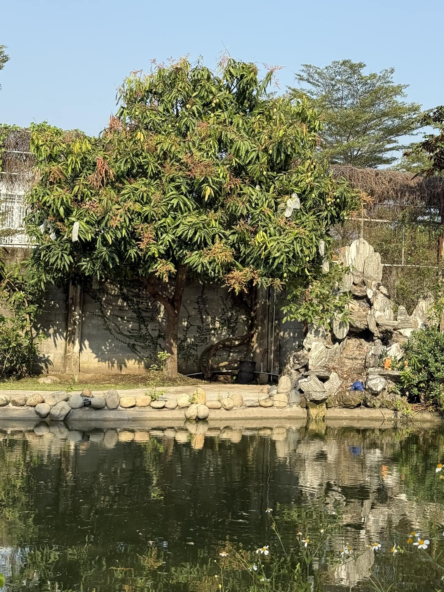 Thấy gì ở 2 tài sản trăm tỷ của Mỹ Tâm?- Ảnh 8. Thấy gì ở 2 tài sản trăm tỷ của Mỹ Tâm?- Ảnh 8.